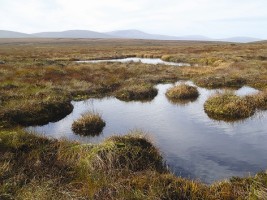 A bog landscape in Ireland, photograph provided by IPCC 