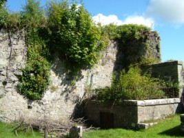 Remains of Killeigh friary, Killeigh, Co. Offaly