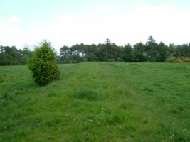 Removal of hedgerow to enlarge a field, Ireland