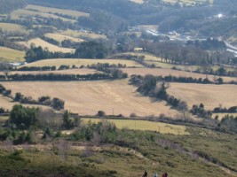 Hedgerows as wildlife corridors in Co. Wicklow