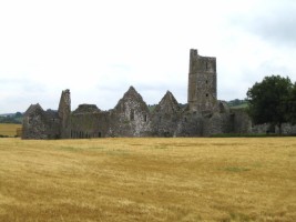 A view of Kilcrea Friary, Co. Cork, Ireland