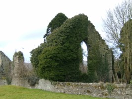 The abandoned ruins of the church at Kildare friary, Kildare