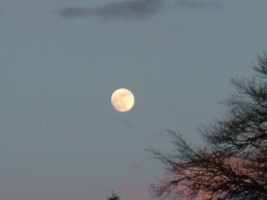 Moon at dusk over Multyfarnham, Co. Westmeath