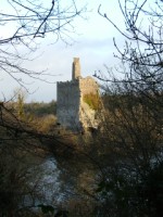The O'Brien castle through the trees at Dromore Wood, Co. Clare