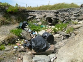 Domestic rubbish dumped amongst sea mayweed and coastal rocks with sewage pipe in background