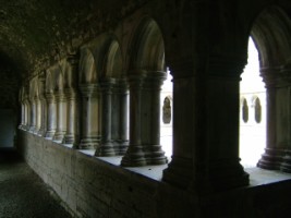 A view of the cloister, Askeaton friary, Co. Limerick