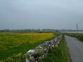 Countryside in South Co. Galway