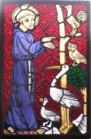St. Francis' Sermon to the Birds, a stained glass by Diane Stanley 