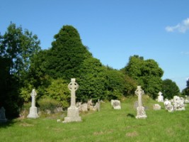 View of Monasteroris Friary covered in ivy, Edenderry, Co. Offaly