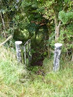 The Well of Sringle where St. Patrick baptised many people along Togher Patrick